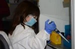 labs kids