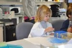 labs kids