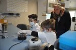 labs kids