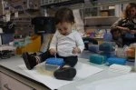 labs kids
