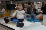 labs kids